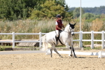 SBM_003360