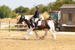 SBM_000365