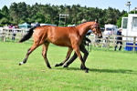 SBM_01089