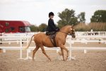 SBM_05328