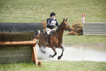 BVHT 140517  IXC -593