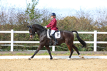 3E7A9936
