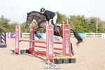Cls 31 Snr British Novice and 90cm Open portfolio