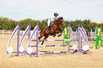 SBM_003351