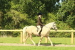SBM_67414