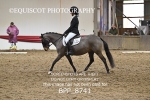 BPP_8741