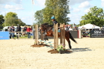 SBM_39384