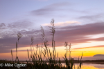 Dawn over the Tay