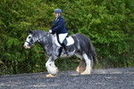 WJ5_9076