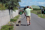 Thirsty Work  Dog Walking