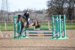 Unaffiliated Show Jumping portfolio