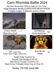 Cwm Rhondda Battle portfolio