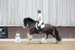 SBM_008417