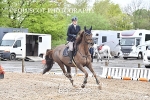 BPP_5293