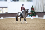 SBM_001508
