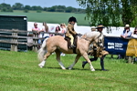 SBM_05931