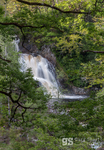 Rhaeadr Mawddach, Coed y Brenin