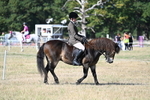 WJ7_3440