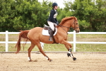 SBM_008976