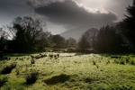 Kenmare