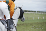 PtP 150320 0651
