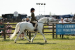 SBM_08465