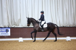 SBM_001501