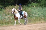 WJ7_8557