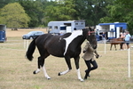 WJ6_5264