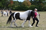 WJ6_6588