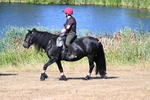 WJ7_7564