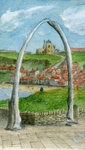 Whitby Whale Bones 