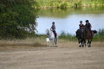 WJ6_8904
