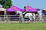 SBM_17553