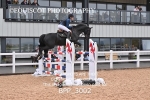 BPP_3002