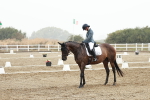 SBM_003910