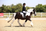 SBM_003678