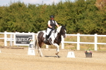 SBM_018275