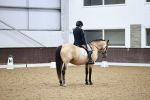 SBM_003933