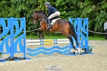 Cls 92 British Novice & 90cm Open portfolio