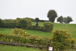 WJ5_7055