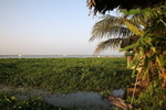 VIET_0331