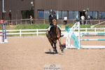 Cls 19 Foxhunter and 1.10m Open portfolio