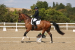 SBM_022440
