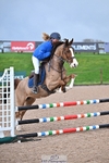 Cls 4 British Novice and 80cm Open portfolio