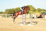 SBM_003366