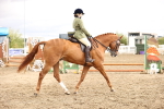 SBM_00663
