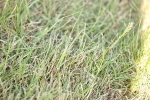 SBM_19714