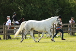 SBM_02485