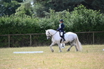 WJ6_3331
